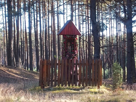 Kapliczka w lesie w okolicach Zdzisawic